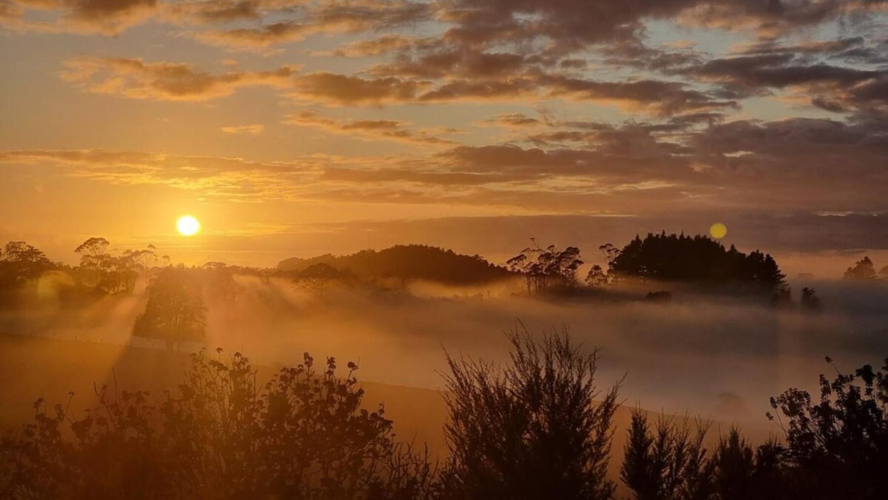 Вілла The Kauri Getaway By Tiny Away Waitoki Екстер'єр фото
