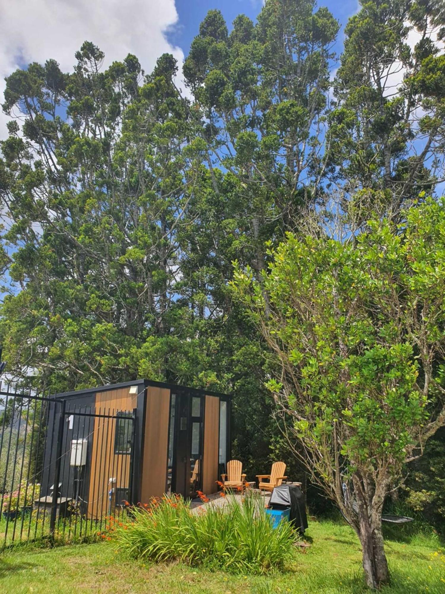 Вілла The Kauri Getaway By Tiny Away Waitoki Екстер'єр фото