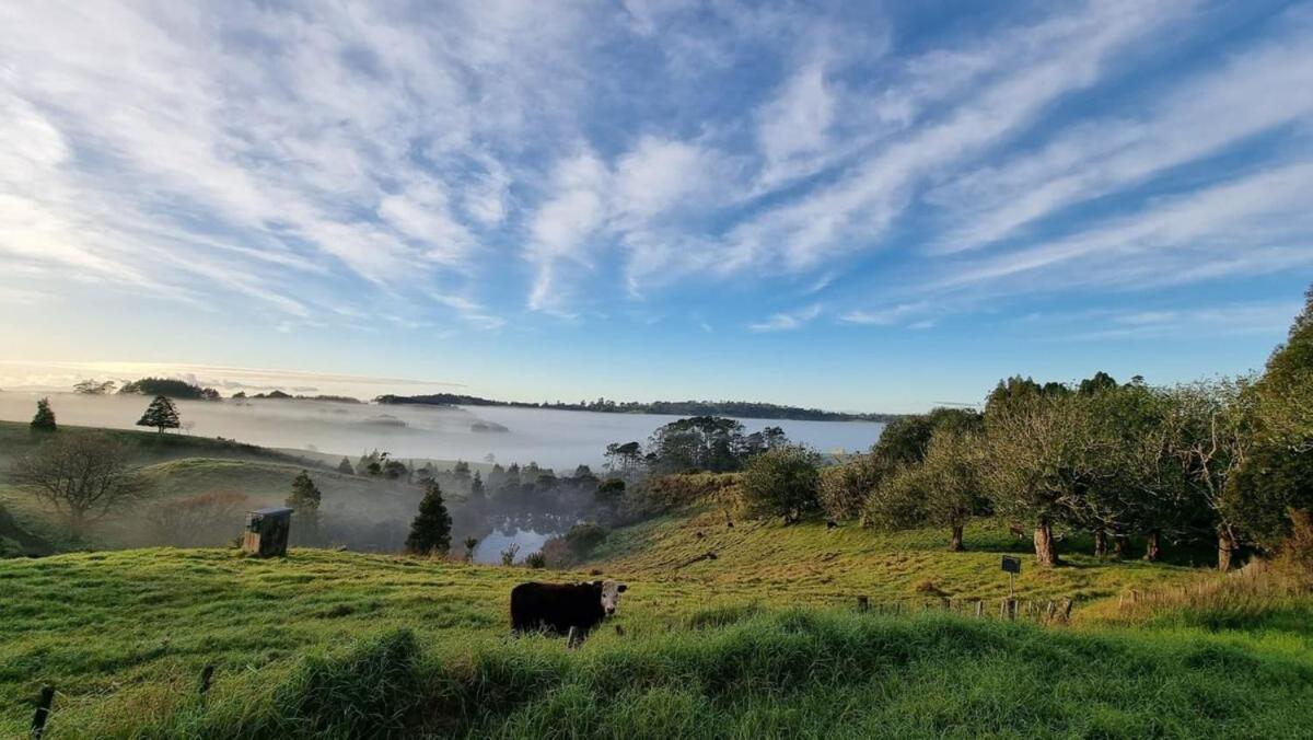 Вілла The Kauri Getaway By Tiny Away Waitoki Екстер'єр фото